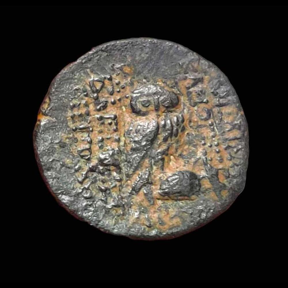 Ancient Greece Cleopatra Thea Antiochos VIII Seleukid Kingdom Genuine Owl Coin - Picture 3 of 3